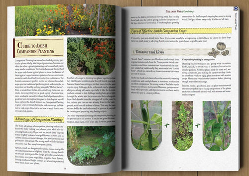 The Amish Ways - Survival Secrets That Will Forever Change Your Life | Survival Skills & Projects of Independence